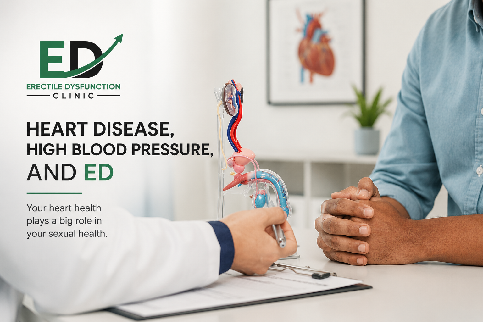 Heart disease, high blood pressure and erectile dysfunction