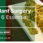 penile implant surgery